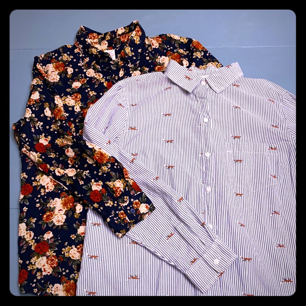 (Two) Button-Down Ling Sleeve Blouse